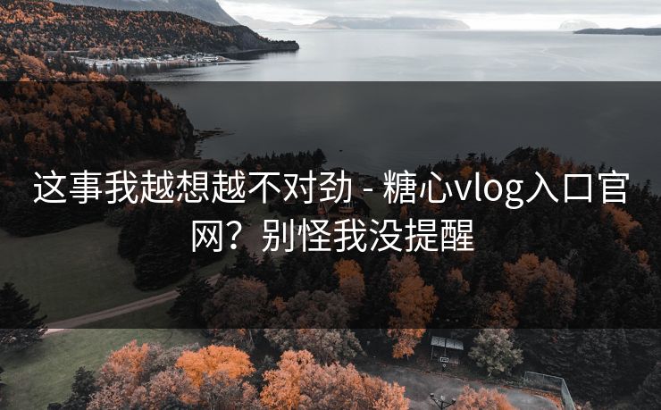 这事我越想越不对劲 - 糖心vlog入口官网？别怪我没提醒