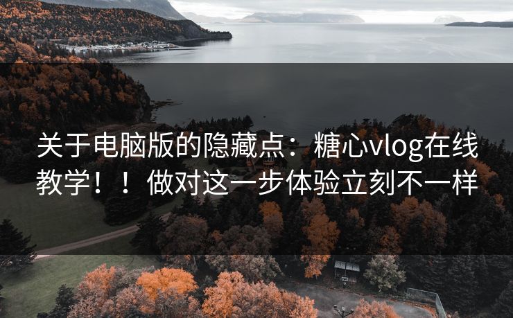 关于电脑版的隐藏点：糖心vlog在线教学！！做对这一步体验立刻不一样